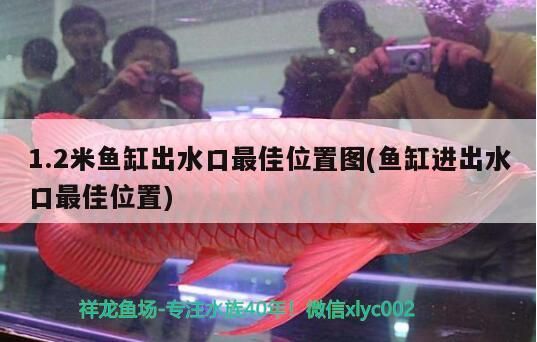 1.2米魚缸出水口最佳位置圖(魚缸進出水口最佳位置)（1.2米魚缸出水口最佳位置圖）