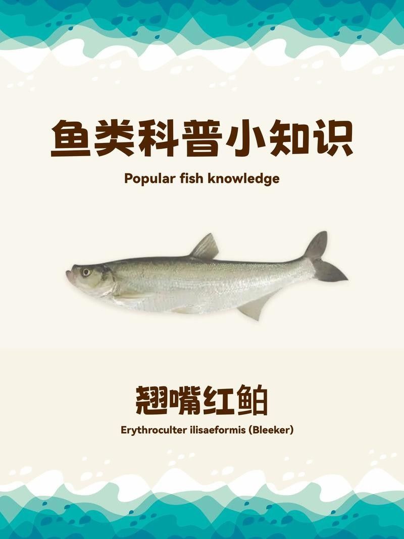 能否再給出幾個形容龍魚胡須的比喻？，\