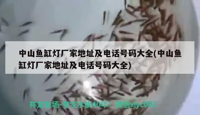 中山魚缸燈廠家地址及電話號碼大全(中山魚缸燈廠家地址及電話號碼大全)（中山市魚缸燈廠家地址及電話號碼大全）
