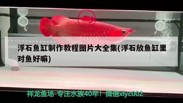 浮石魚缸制作教程圖片大全集(浮石放魚缸里對魚好嘛)