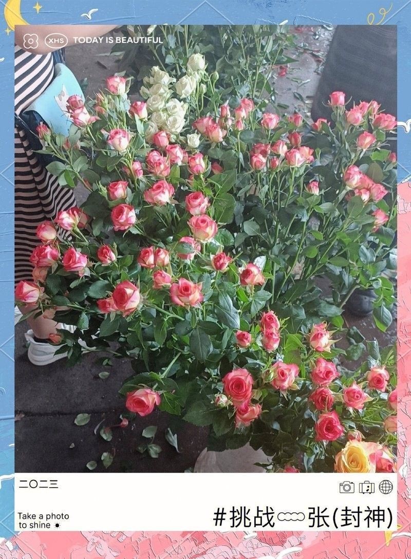 荔灣和番禺哪個市場更好？（廣州荔灣區和番禺區的區別在哪里？）
