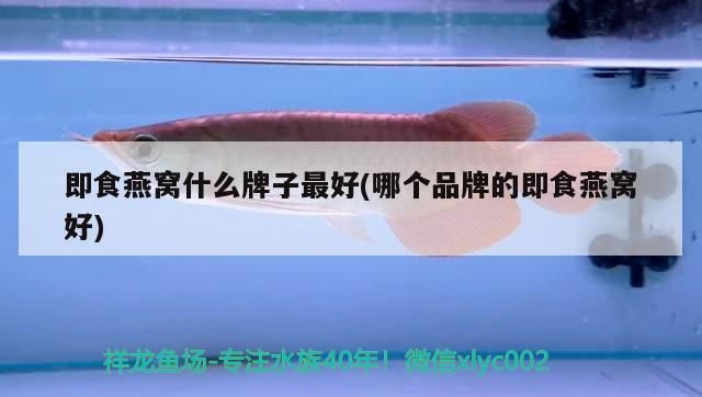 即食燕窩什么牌子最好(哪個品牌的即食燕窩好)（2019年即食燕窩什么牌子最好）