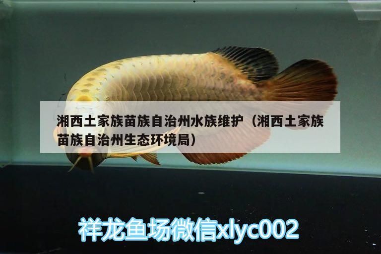 湘西土家族苗族自治州水族維護(hù)（湘西土家族苗族自治州生態(tài)環(huán)境局）（湘西土家族苗族自治州）