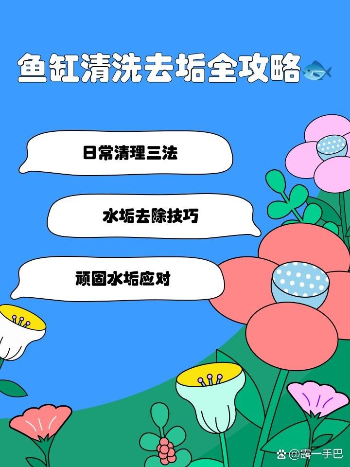金龍魚黑缸多久會(huì)反垢？（關(guān)于金龍魚黑缸多久會(huì)反垢的問題金龍魚黑缸多久會(huì)反垢）