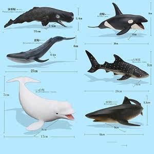 白銀水族館龍魚充血身體充血魚鱗變淡（白銀水族館龍魚充血身體充血） 白銀水族館龍魚充血身體充血魚鱗變淡（白銀水族館龍魚充血身體充血） 觀賞魚百科 第1張