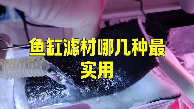 哪種濾材效果好