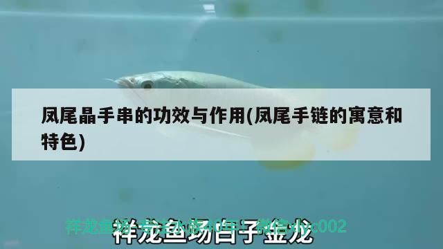 鳳尾晶手串的功效與作用(鳳尾手鏈的寓意和特色)