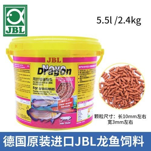 哪些品牌的飼料適合白玉紅龍魚發色？