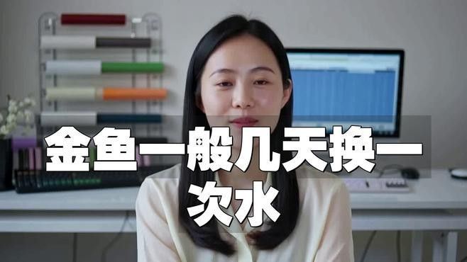 如何單獨為金魚設置生態缸？