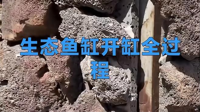 如何單獨為金魚設置生態缸？
