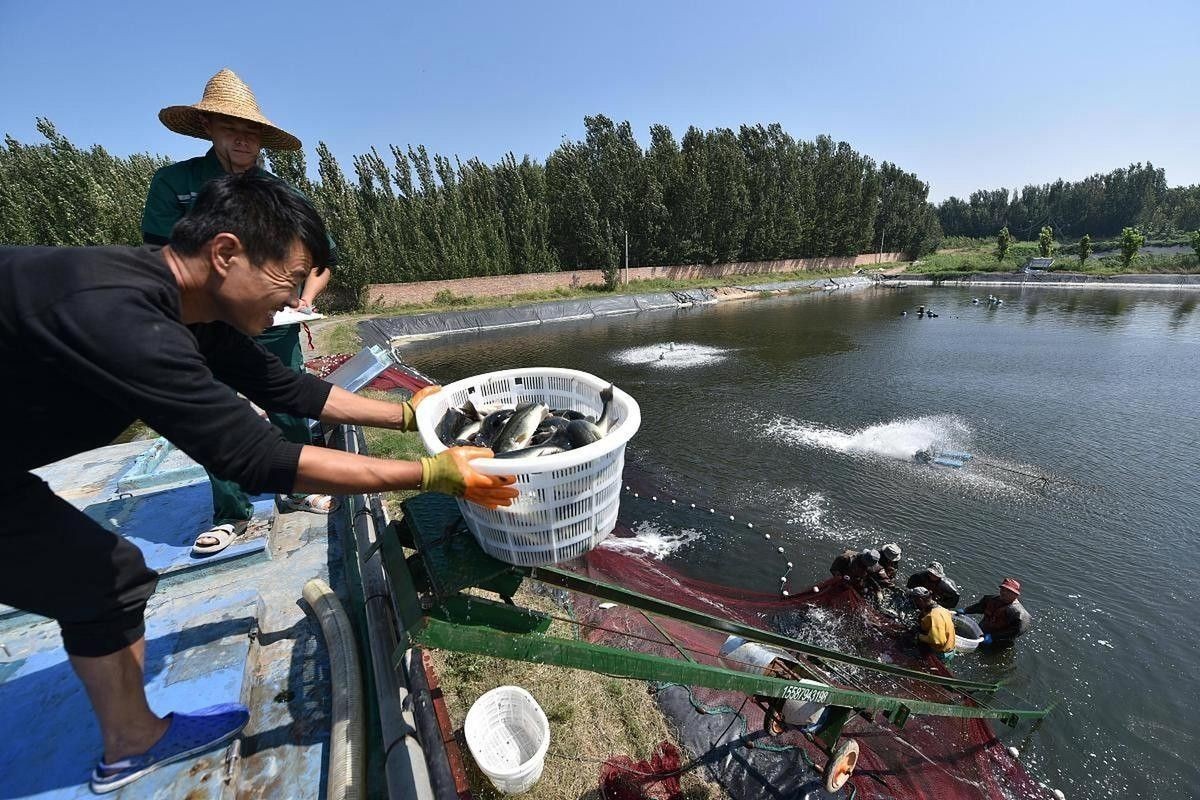 如何聯系濰坊龍魚養殖場