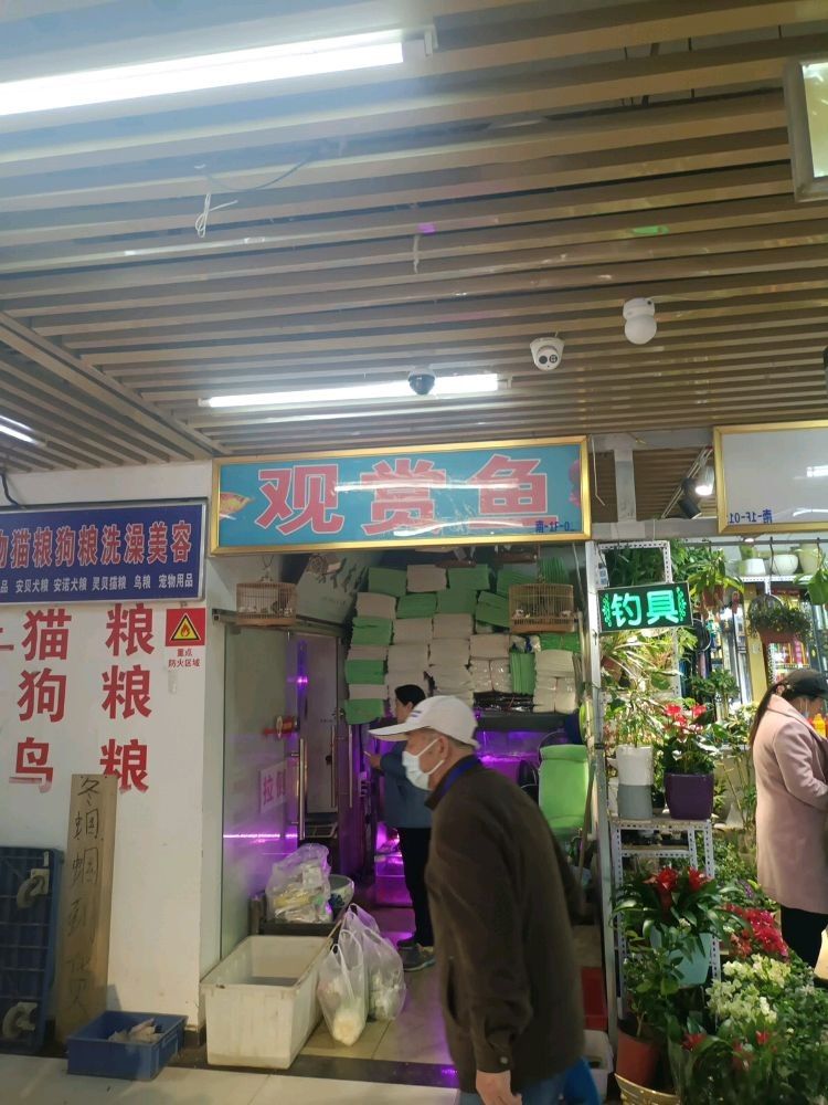 如何快速找到附近的歐博龍魚缸維修點(diǎn)（博龍魚缸維修點(diǎn)的快速查找方法）
