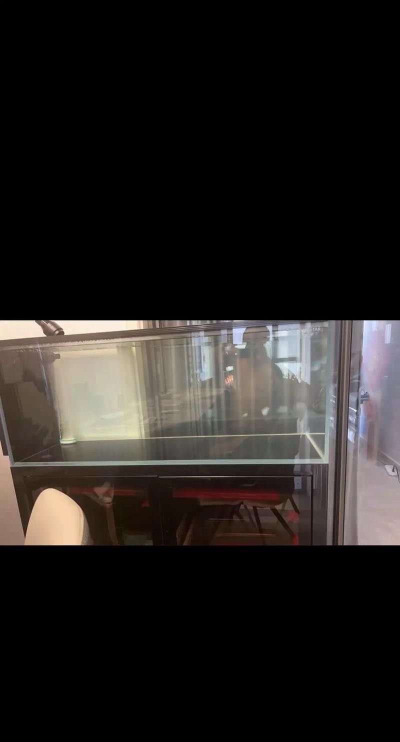 西龍魚缸（2025年金魚缸十大品牌排行榜西龍魚缸十大品牌排名）