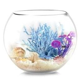 西龍魚缸（2025年金魚缸十大品牌排行榜西龍魚缸十大品牌排名）