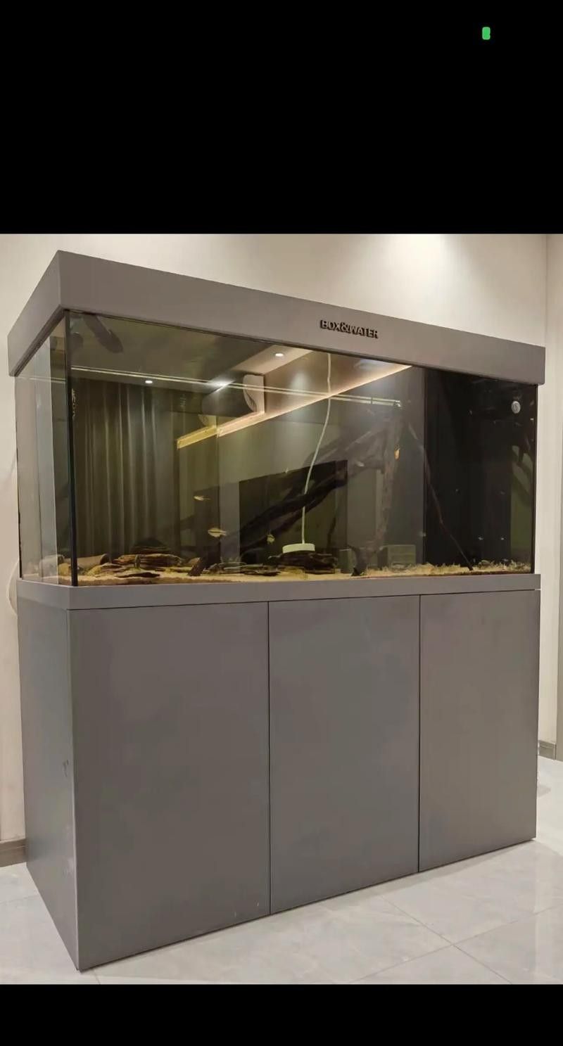 博士龍魚缸有哪些型號（博士龍魚缸主要型號介紹）