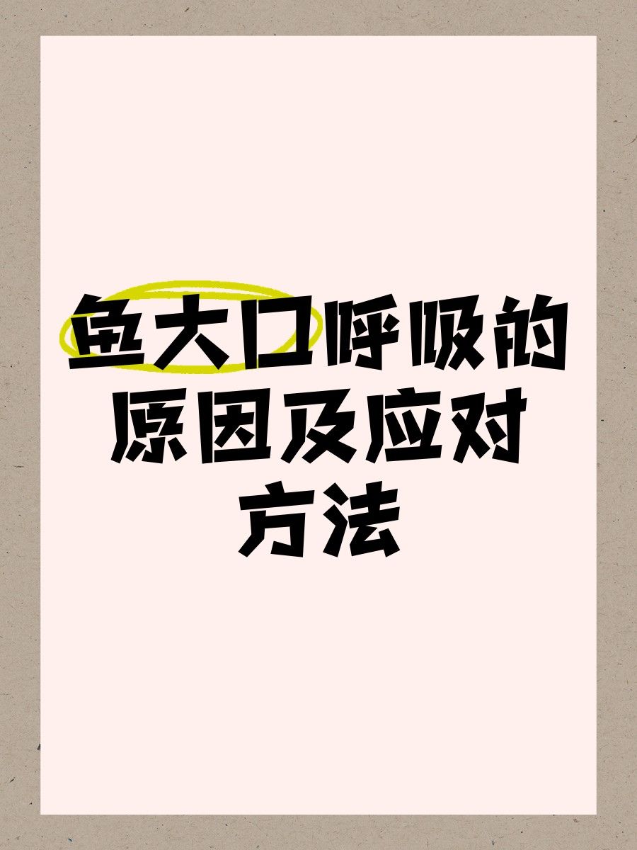 金龍魚張嘴呼吸如何治療（治療金龍魚張嘴呼吸的6大原因及解決方法及解決方法）