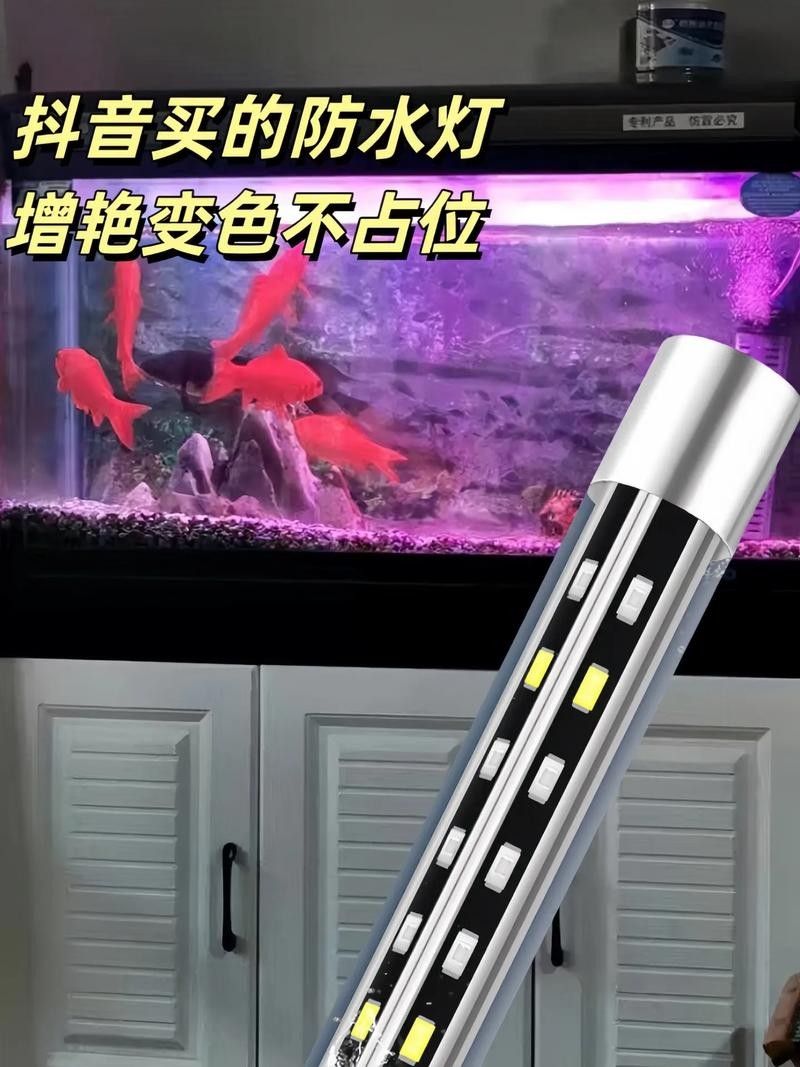 如何判斷金龍魚缸燈是否合適（金龍魚缸燈怎么挑選）