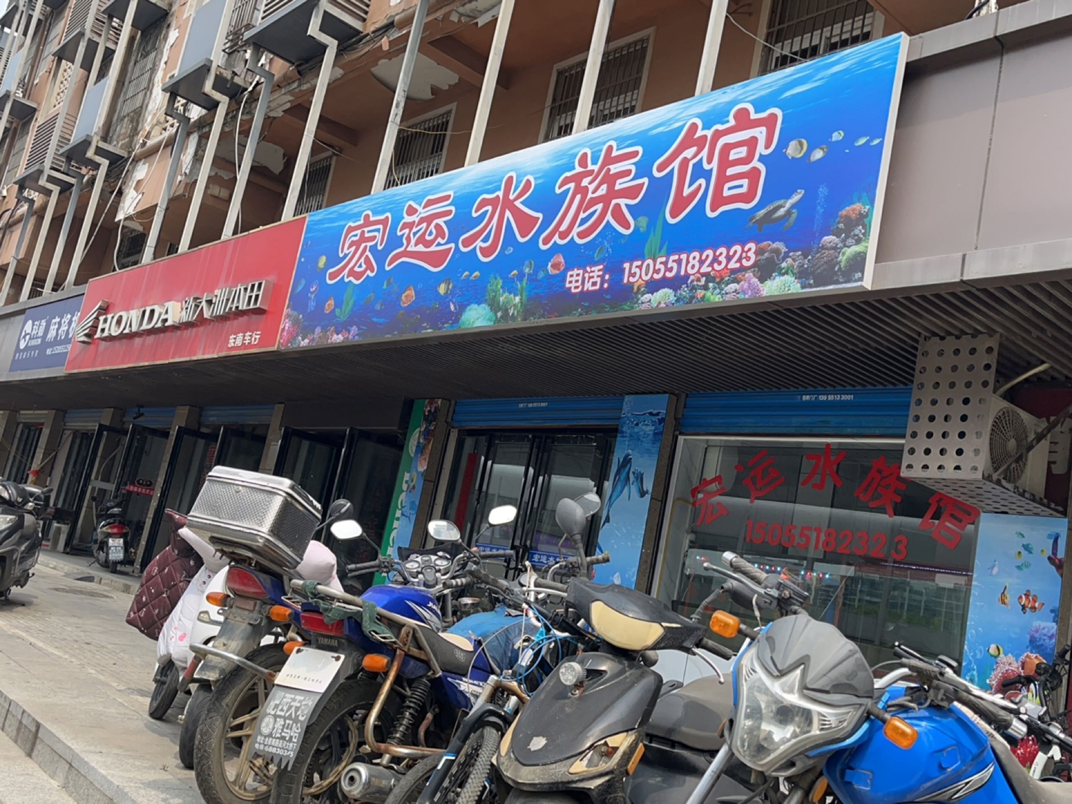 如何參加<strong><mark>合肥</mark></strong>線下水族活動？（<strong><mark>合肥</mark></strong>線下水族活動怎么做？）