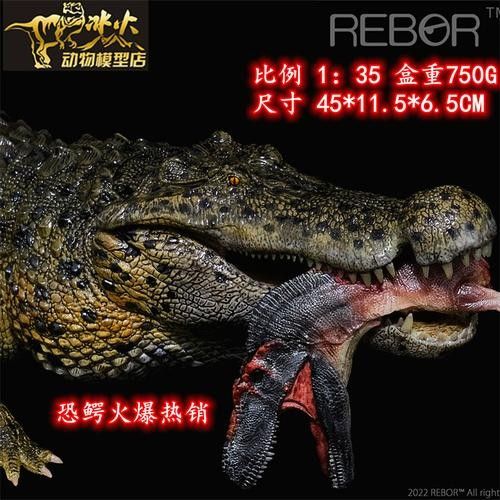 給我一些恐龍魚和恐龍王魚的圖片（恐龍魚和恐龍王魚是兩種非常受歡迎的觀賞魚）