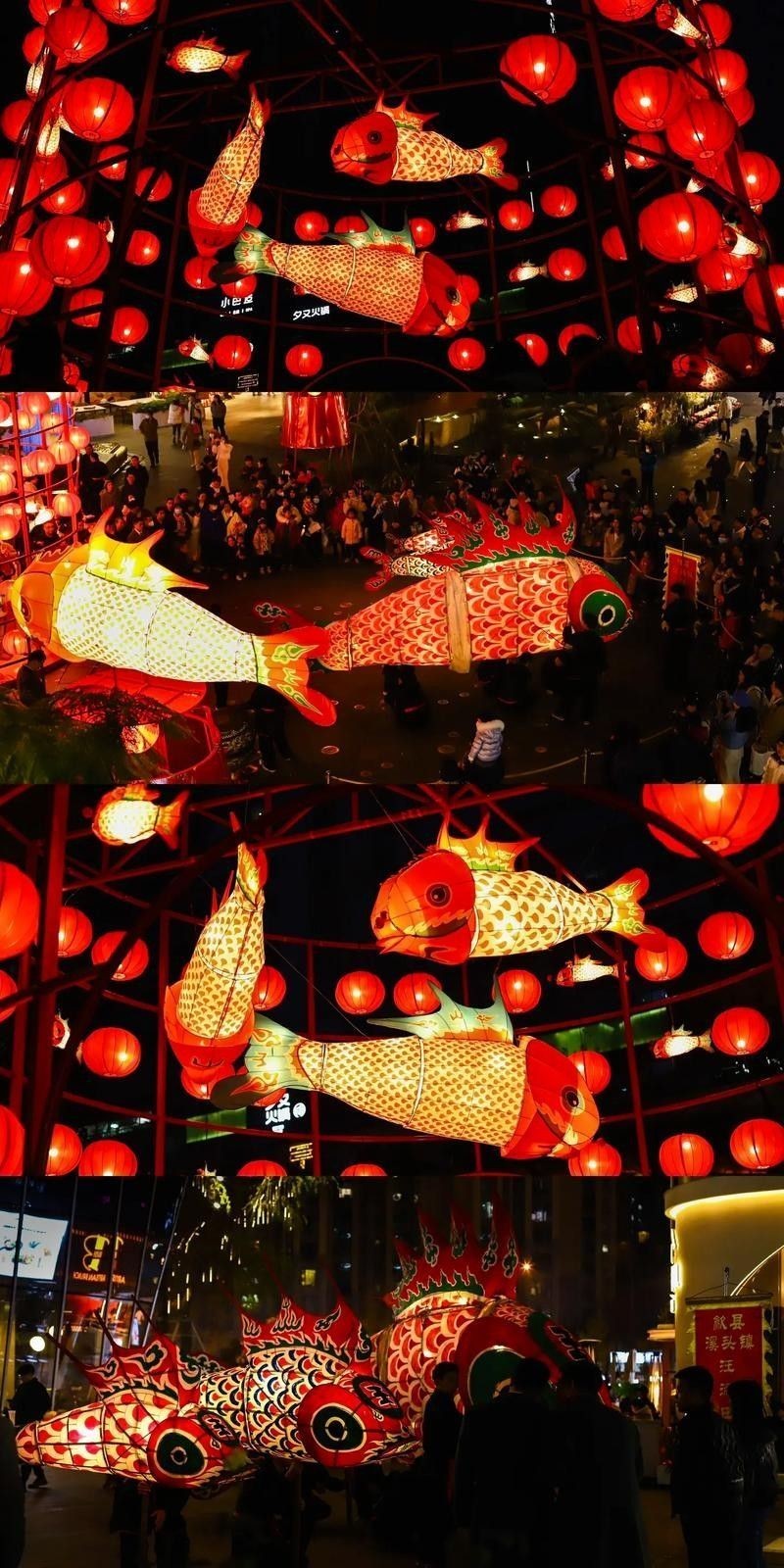 龍魚燈應該如何選擇？（龍魚燈怎么選） 龍魚燈應該如何選擇？（龍魚燈怎么選） 龍魚百科 第6張