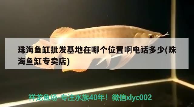 珠海魚(yú)缸批發(fā)基地在哪個(gè)位置啊電話多少(珠海魚(yú)缸專賣店)（珠海魚(yú)缸批發(fā)基地在哪個(gè)位置啊電話多少）