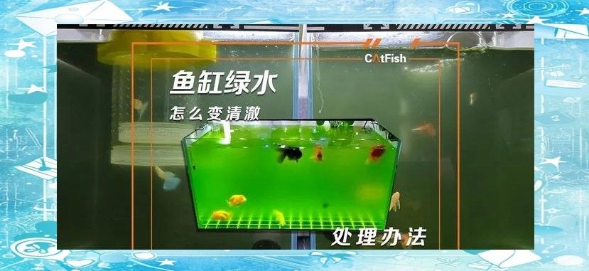 如何加強60厘米魚缸的水質管理（60厘米魚缸的水質管理）