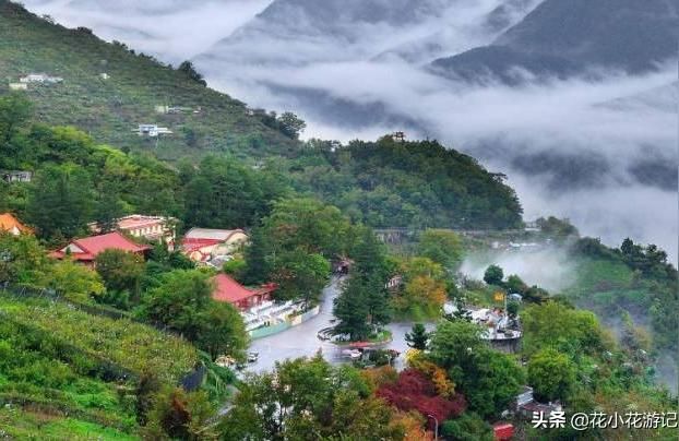 臨潼觀賞魚（臨潼觀賞魚、10臨潼特產）