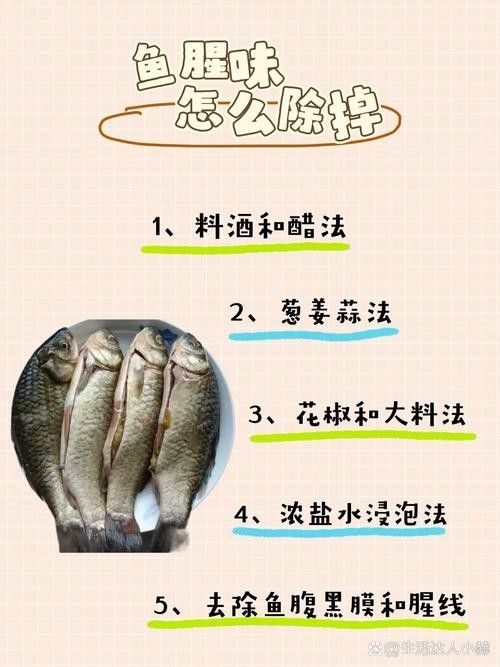 如何處理小白龍魚的腥味（小白龍魚的腥味從何而來揭秘三甲胺的秘密琪寶de熊巢）