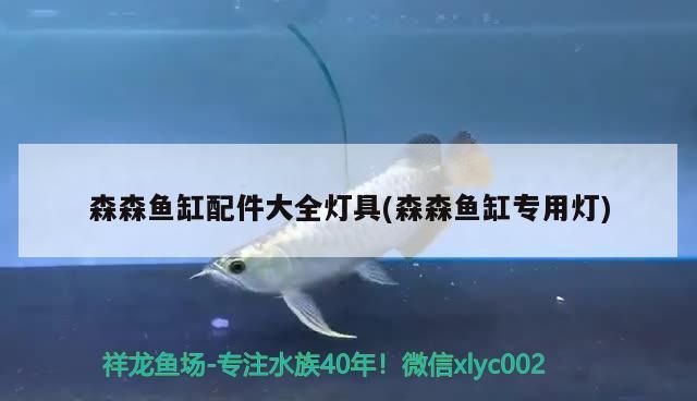森森魚缸配件大全燈具(森森魚缸專用燈)（森森魚缸配件大全）