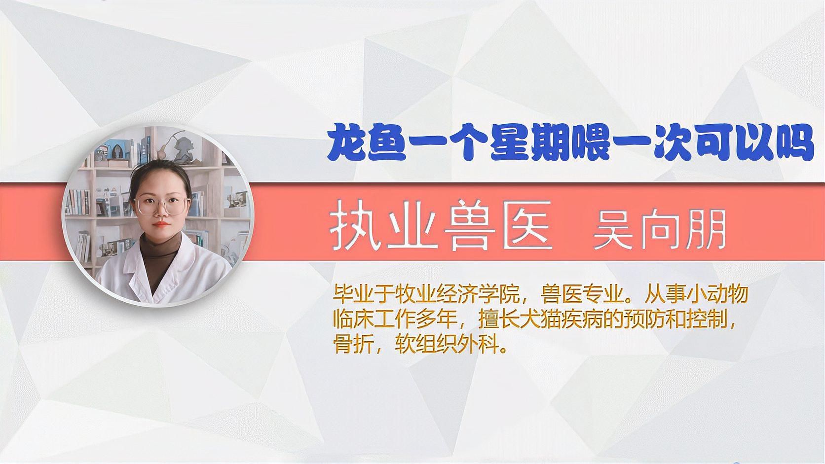 龍魚魚缸溫度多少合適喂食（龍魚溫度多少度合適）