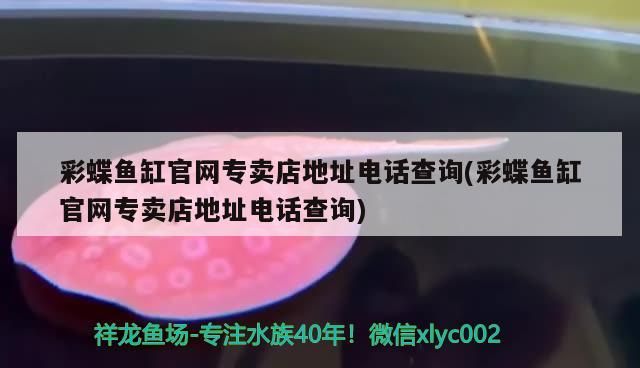 彩蝶魚缸官網專賣店地址電話查詢(彩蝶魚缸官網專賣店地址電話查詢)
