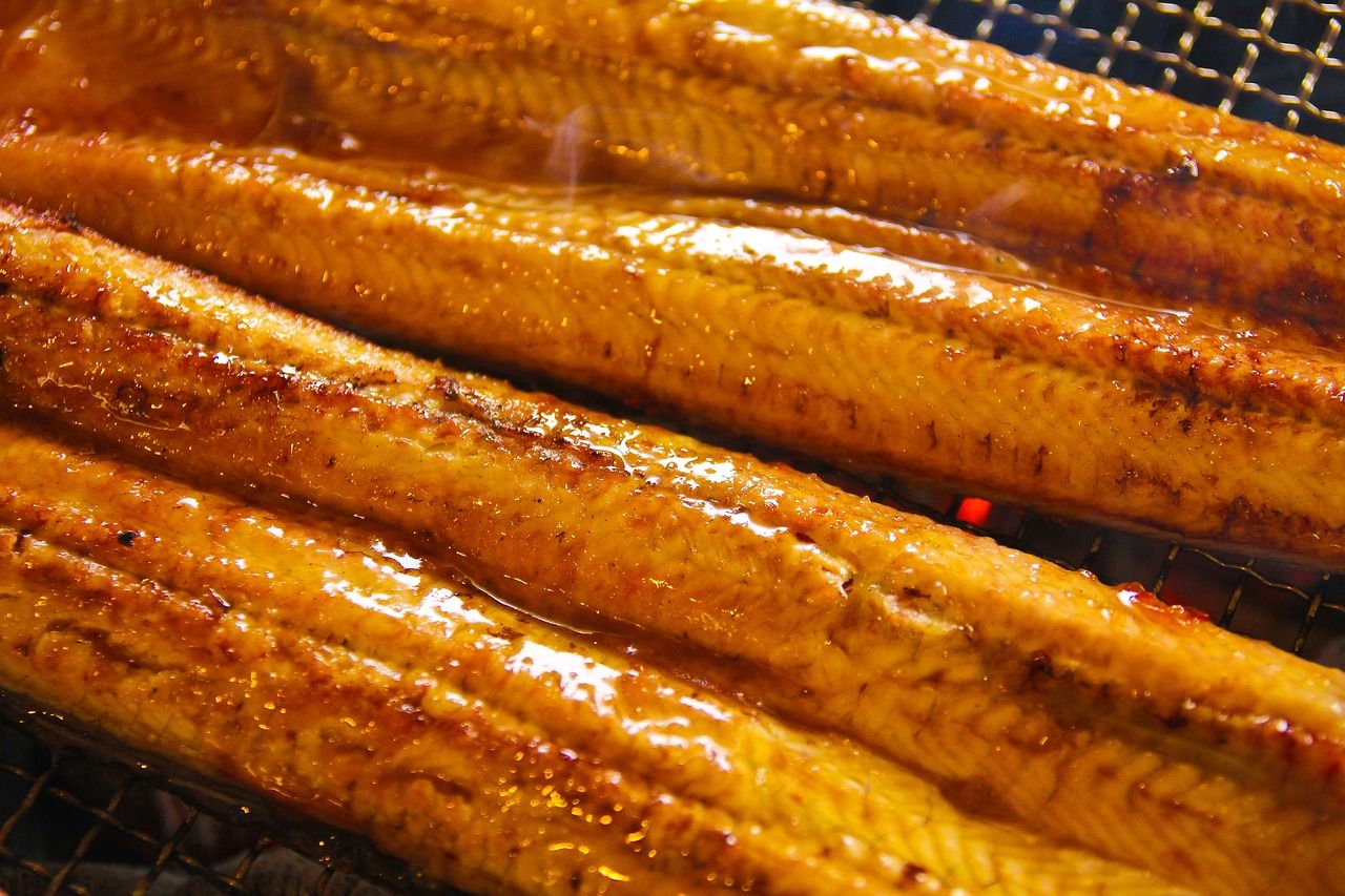 九龍魚的壁紙圖片大全大圖（九龍魚圖片大全風水）