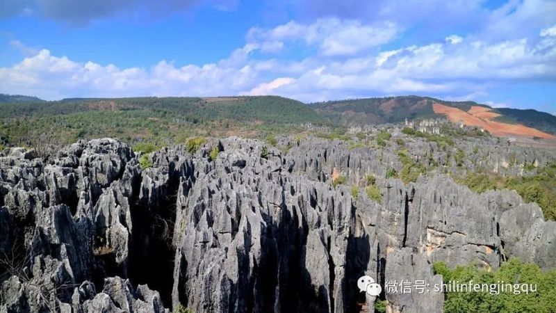 喀斯特地貌傳說中哪個最著名（探秘喀斯特地貌:阿詩瑪傳說的自然背景） 喀斯特地貌傳說中哪個最著名（探秘喀斯特地貌:阿詩瑪傳說的自然背景） 龍魚百科 第3張