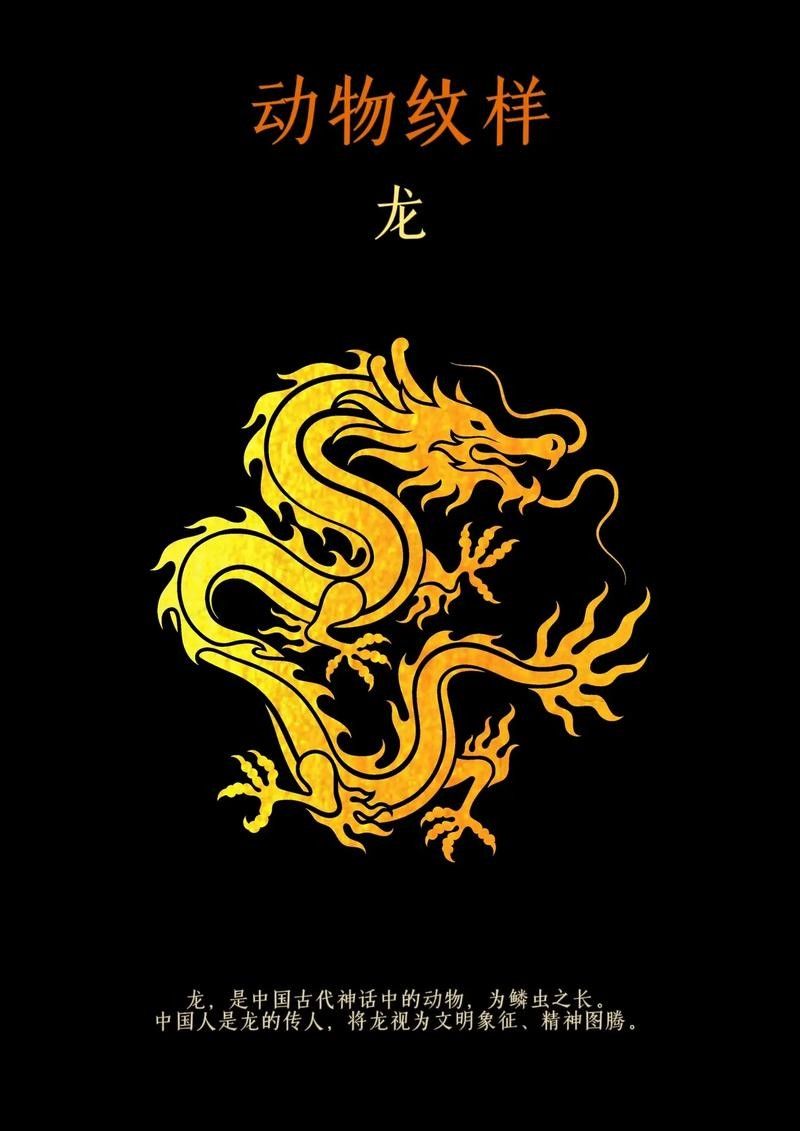 徐州專業做魚缸的公司有哪些家(徐州哪里有賣金魚缸的)（徐州專業做魚缸公司有哪些家徐州專業做魚缸的公司有哪些家）