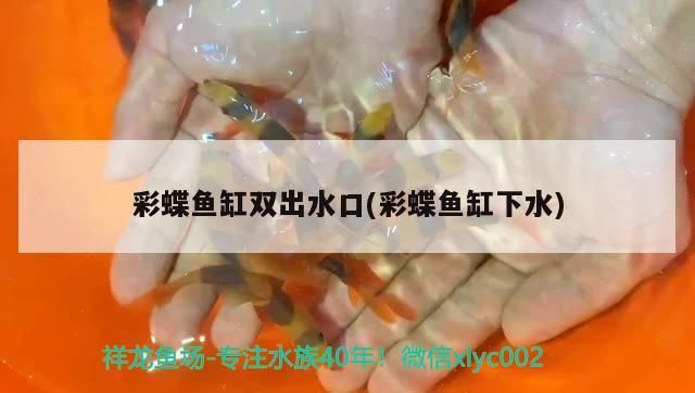 彩蝶魚缸雙出水口(彩蝶魚缸下水)（彩蝶魚缸雙出水口怎么設(shè)計(jì)？）