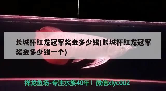 長城杯紅龍冠軍獎金多少錢(長城杯紅龍冠軍獎金多少錢一個)（長城杯紅龍冠軍獎金多少錢）