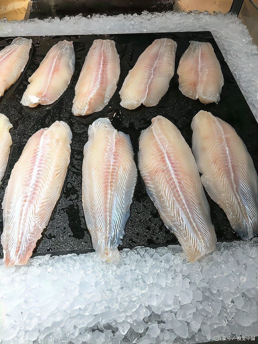 如何區分龍利魚和巴沙魚？（如何區分龍利魚和巴沙魚）