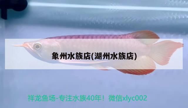 象州水族店(湖州水族店)（上海象州水族店)，象州水族店)，湖州水族店）