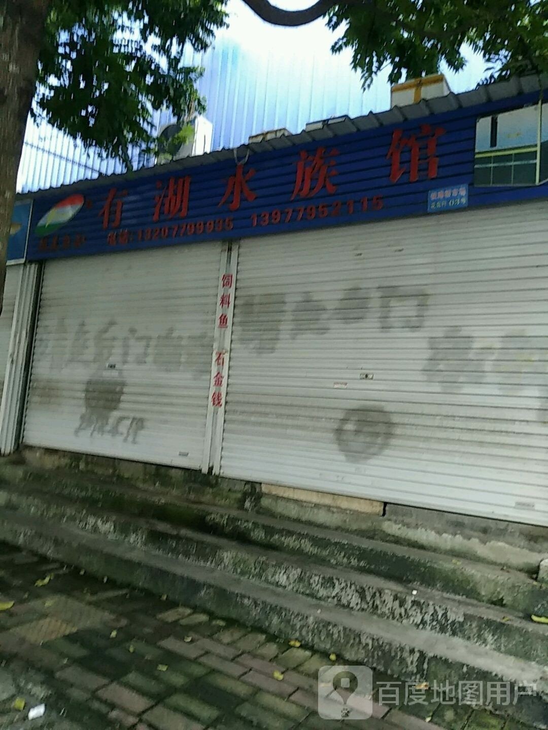 北海哪個水族館龍魚好？祥龍魚場龍魚（北海市祥龍魚場水族館） 北海哪個水族館龍魚好？祥龍魚場龍魚（北海市祥龍魚場水族館） 龍魚百科 第7張