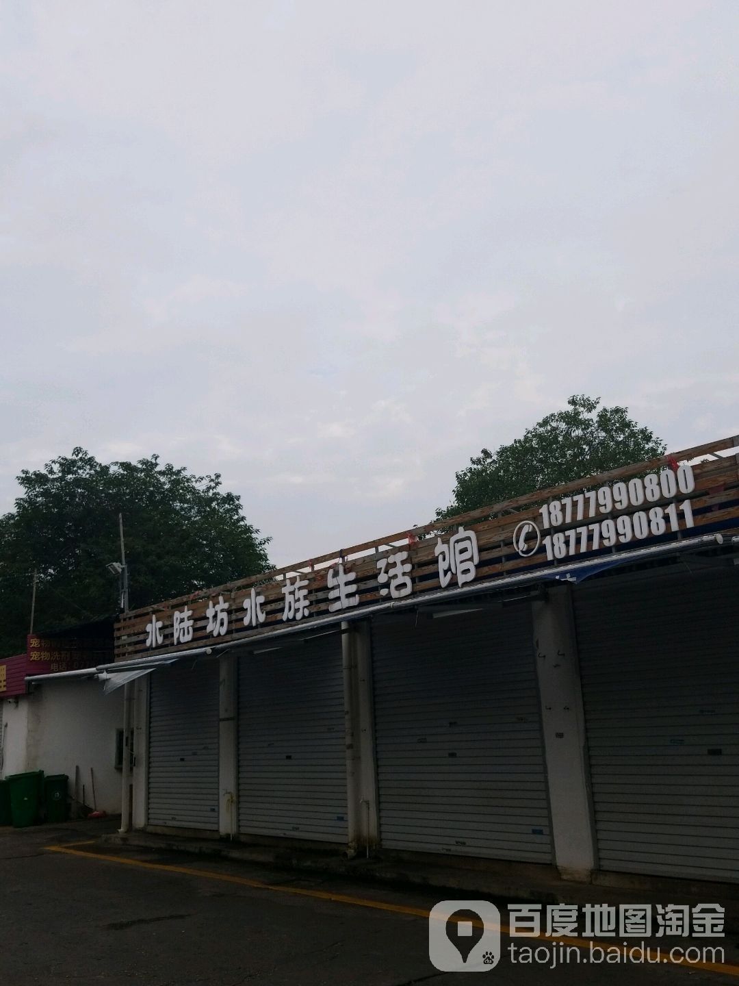 北海哪個水族館龍魚好？祥龍魚場龍魚（北海市祥龍魚場水族館） 北海哪個水族館龍魚好？祥龍魚場龍魚（北海市祥龍魚場水族館） 龍魚百科 第6張