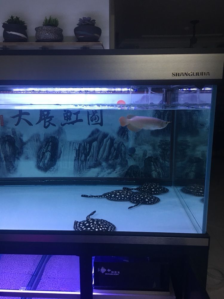 記錄于20171126（“雙十一”購物節的記錄）