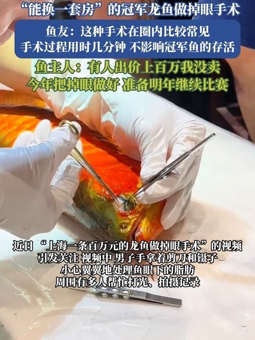 金龍魚(yú)芯片有副作用嗎？（\