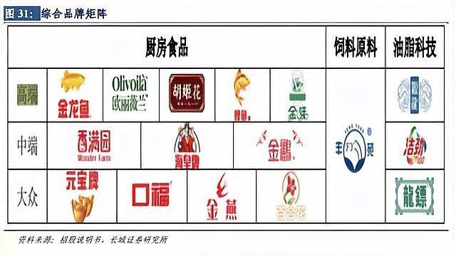 睢縣金龍魚屬于什么檔次（睢縣金龍魚在睢縣有哪些促銷活動(dòng)睢縣有哪些銷售渠道）
