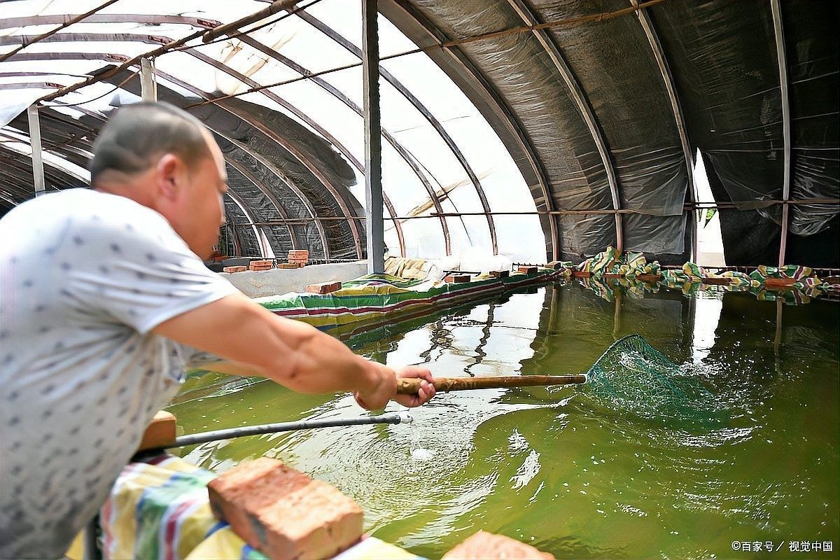 換水時可以添加哪些有益細菌（每次換水都要加硝化細菌可以嗎）