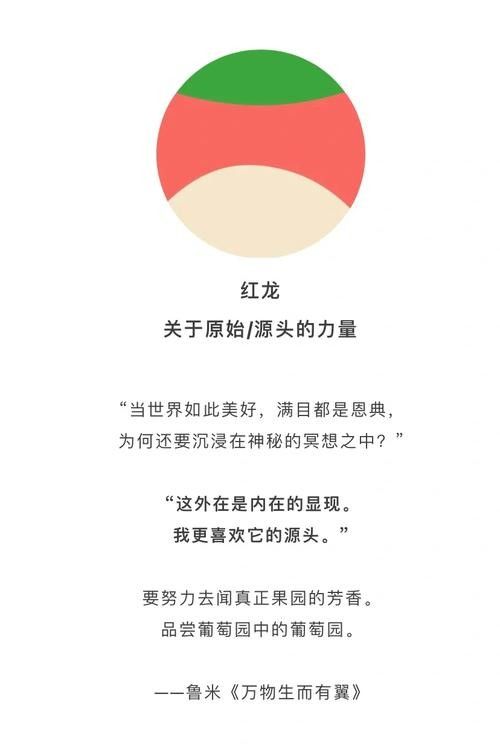 能否提供紅龍旗的圖片示例（威爾士紅龍旗）