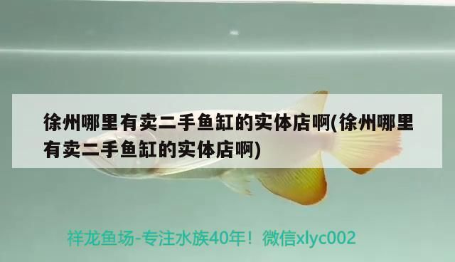 徐州哪里有賣二手魚缸的實體店啊(徐州哪里有賣二手魚缸的實體店啊)（徐州哪里有賣二手魚缸的實體店啊）