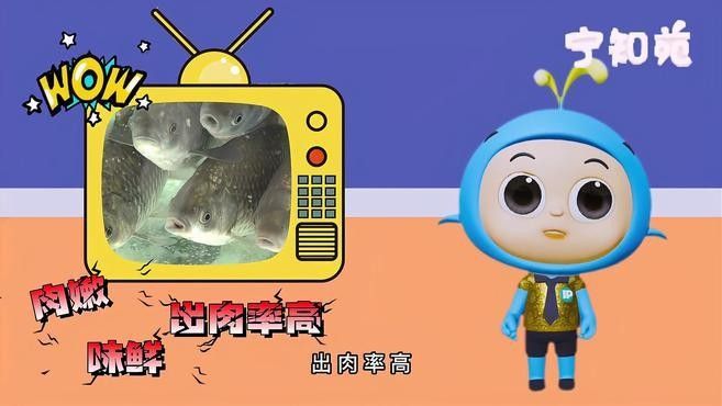 南京特色魚（南京特色魚是南京特色魚，南京特色魚，南京特色魚館）