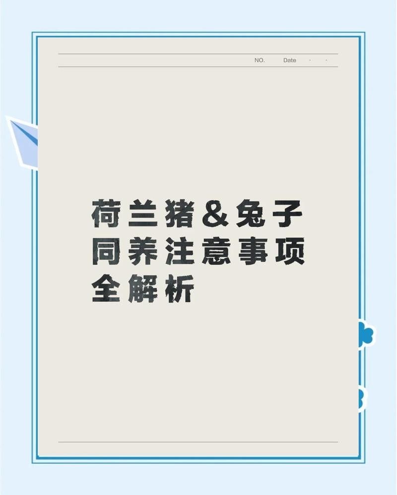 荷蘭豬和兔子一起養需要注意什么