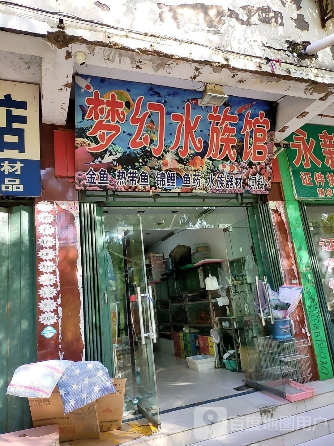 葉縣的夢幻水族館有哪些特色？