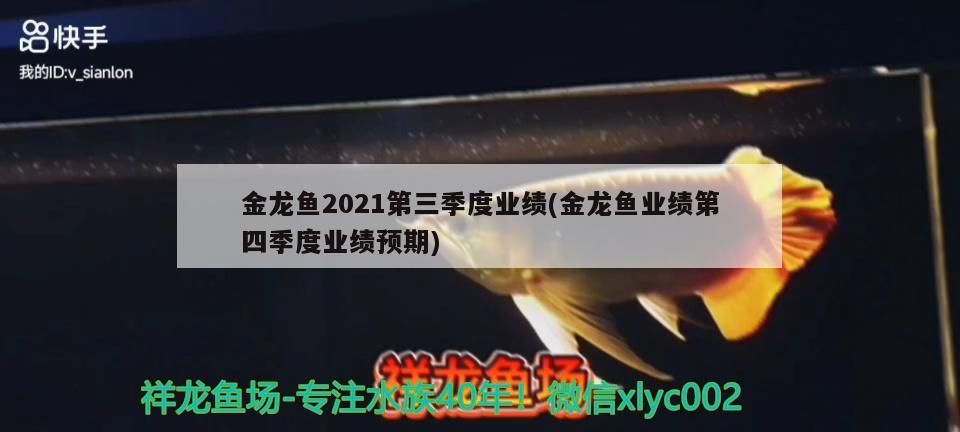 金龍魚2021第三季度業績(金龍魚業績第四季度業績預期)